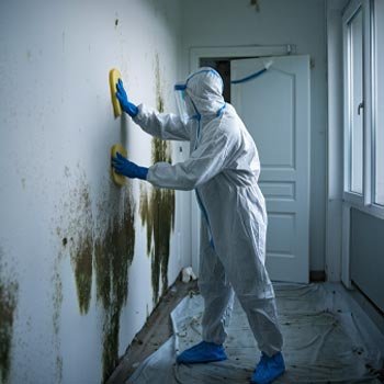 Austin Mold Remediation